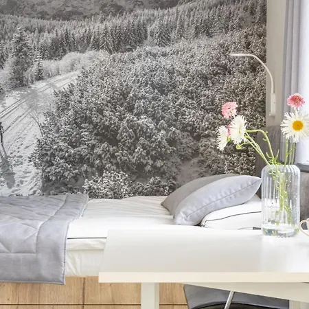 16 Апартаменты Закопане